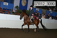 07r12_3090 proof