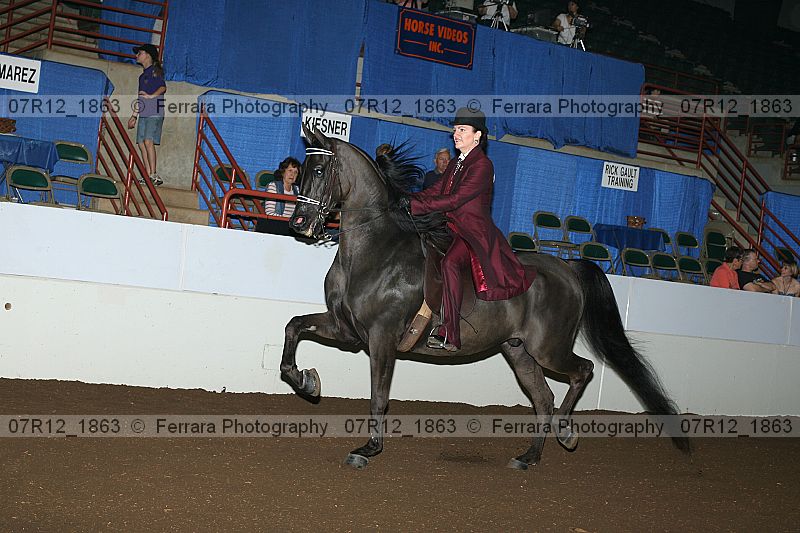 Proof 07r12_1863