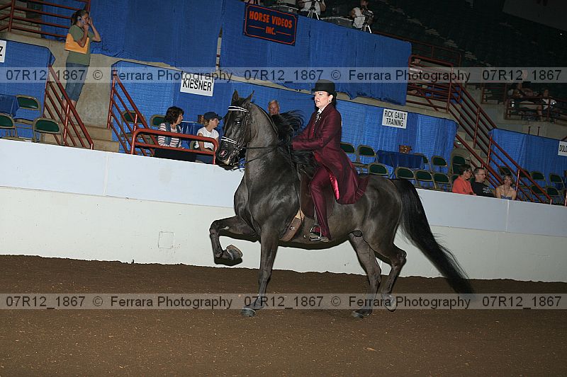Proof 07r12_1867