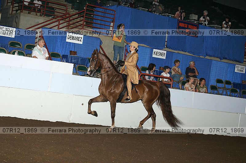 Proof 07r12_1869