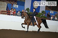 07r12_1876 proof