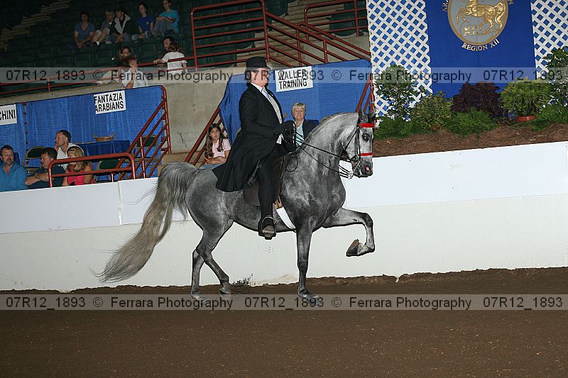 Proof 07r12_1893