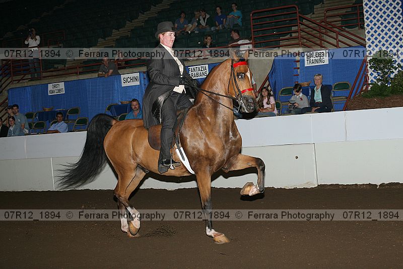 Proof 07r12_1894