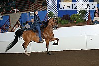07r12_1895 proof