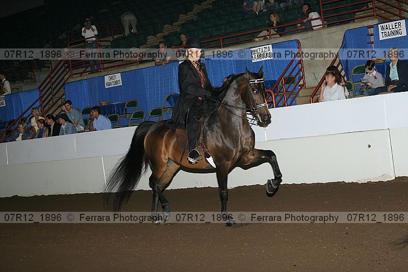 Proof 07r12_1896