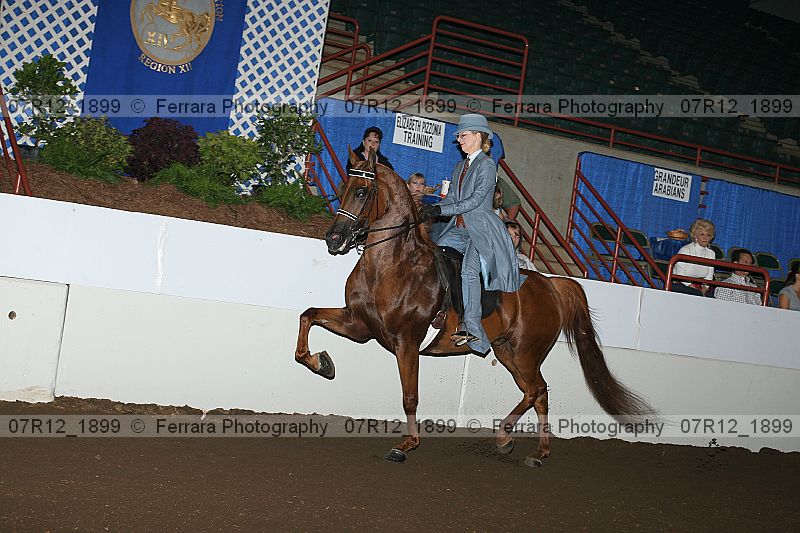 Proof 07r12_1899