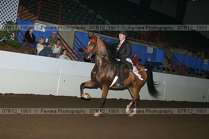 Proof 07r12_1901