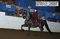 07r12_2597 proof