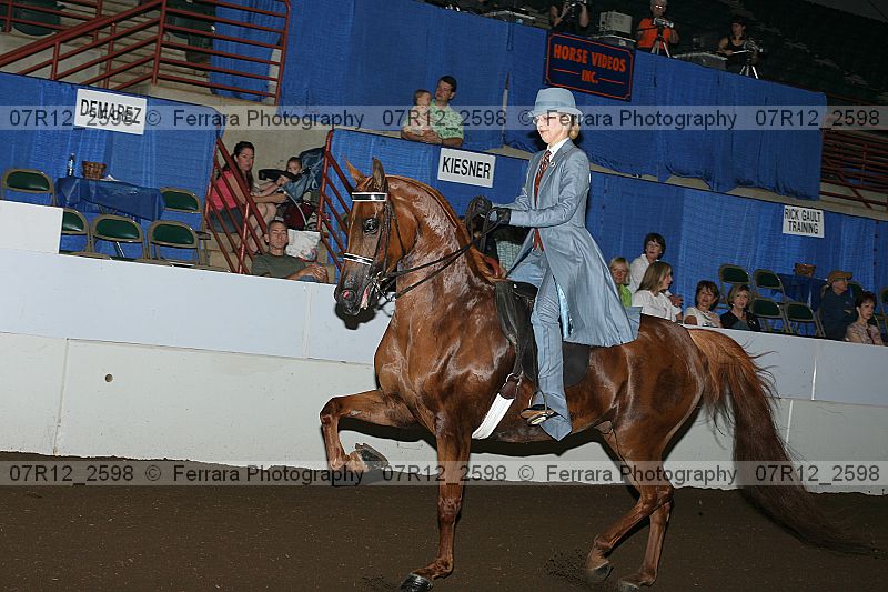 Proof 07r12_2598