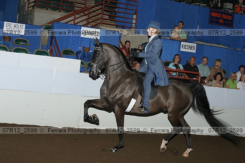 Proof 07r12_2599
