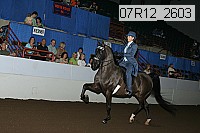 07r12_2603 proof