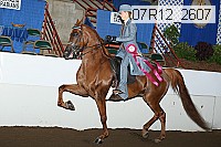 07r12_2607 proof