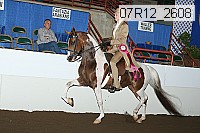 07r12_2608 proof