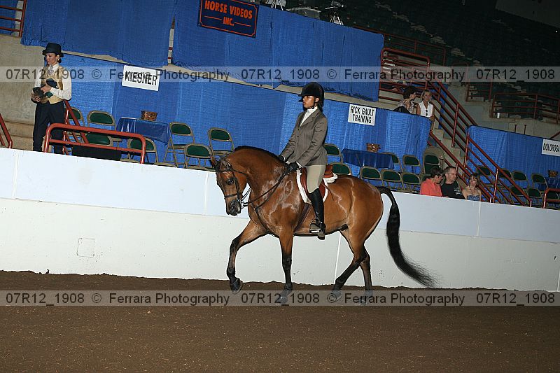 Proof 07r12_1908