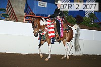07r12_2077 proof
