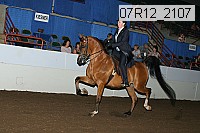 07r12_2107 proof