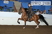 07r12_2108 proof