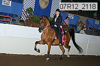 07r12_2118 proof