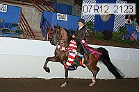 07r12_2123 proof