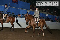 07r12_2132 proof