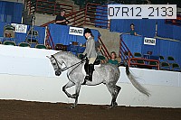 07r12_2133 proof
