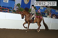 07r12_2137 proof