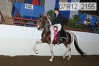 07r12_2155 proof