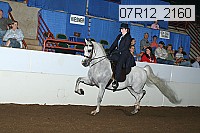 07r12_2160 proof