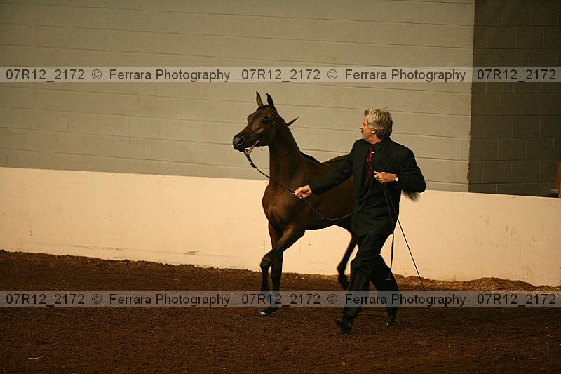 Proof 07r12_2172