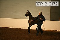 07r12_2172 proof