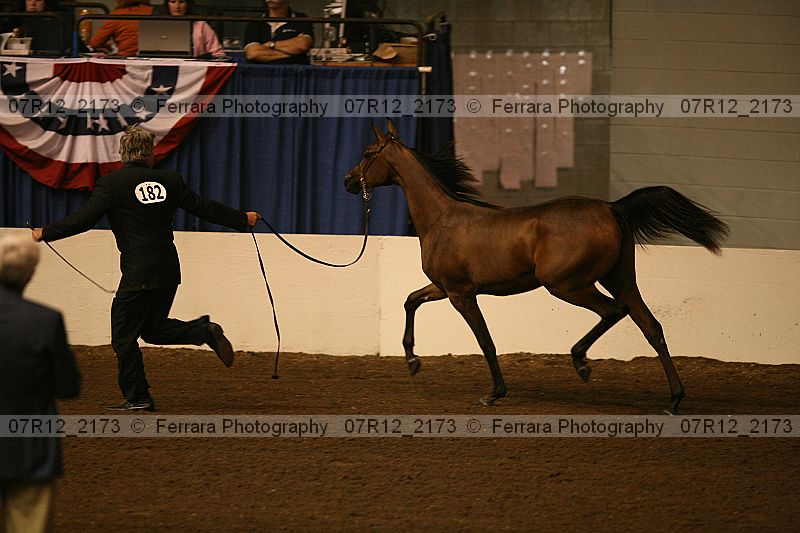 Proof 07r12_2173