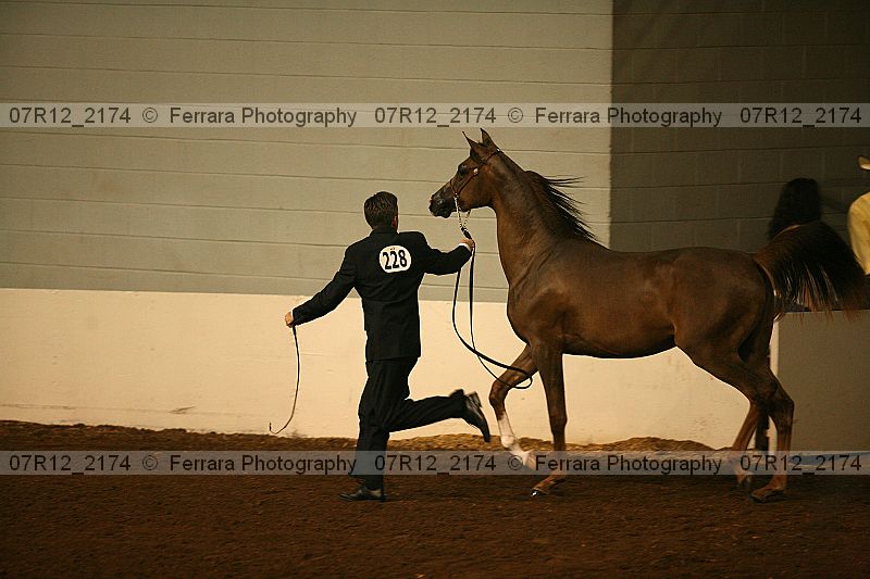 Proof 07r12_2174
