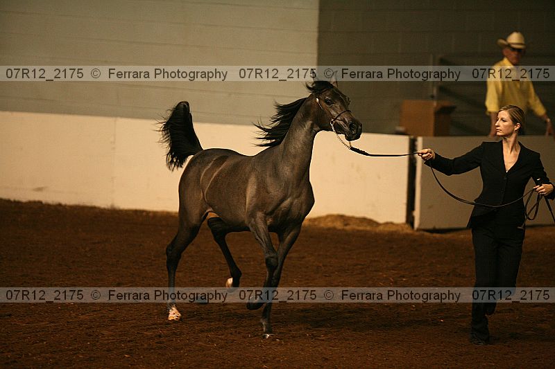 Proof 07r12_2175