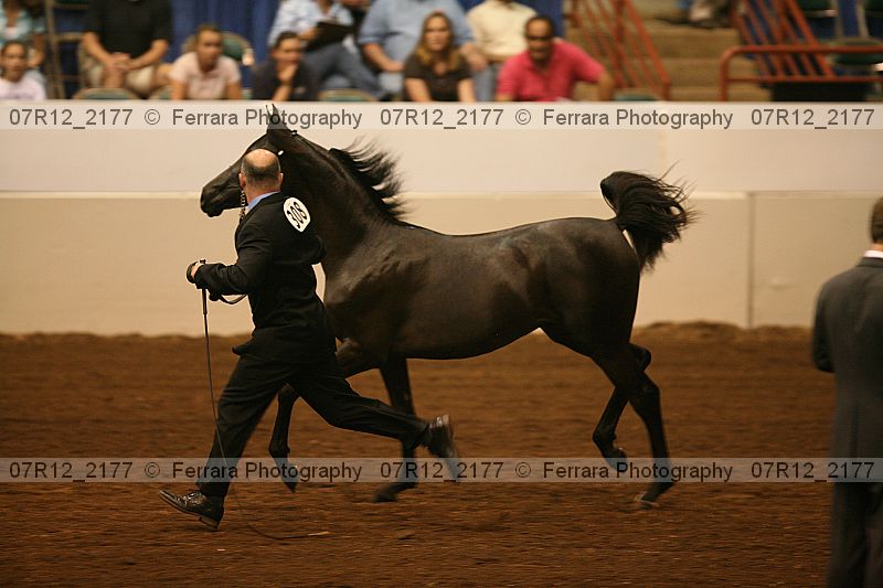 Proof 07r12_2177