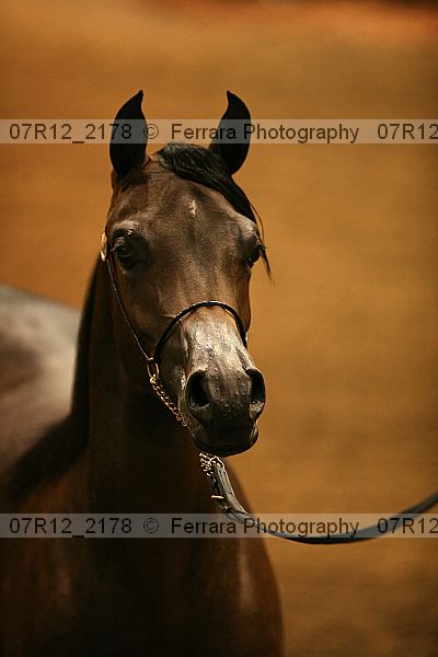 Proof 07r12_2178