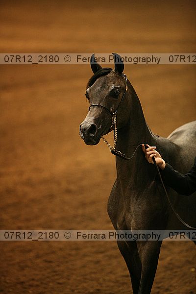 Proof 07r12_2180