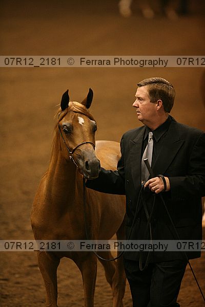 Proof 07r12_2181