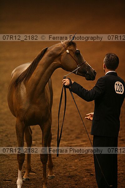 Proof 07r12_2182