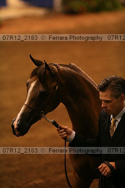 Proof 07r12_2183