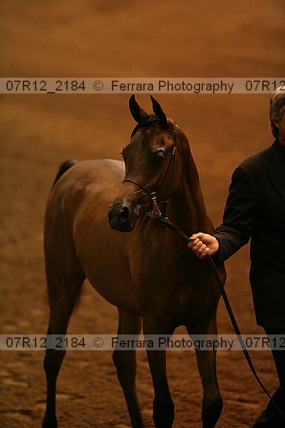 Proof 07r12_2184