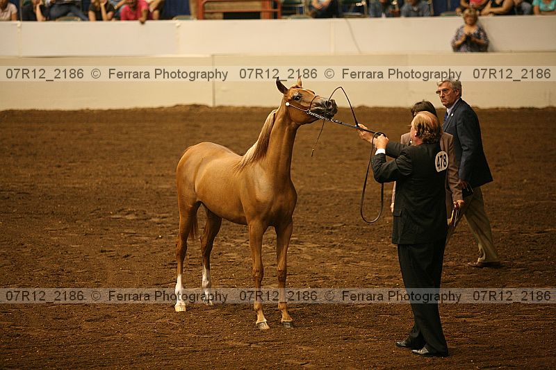 Proof 07r12_2186