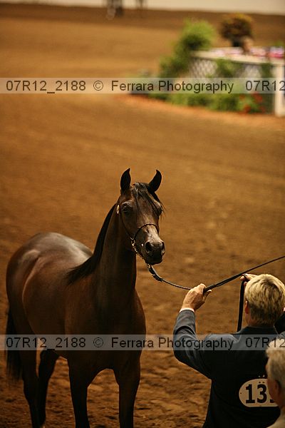 Proof 07r12_2188