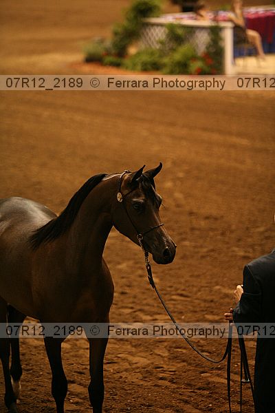 Proof 07r12_2189