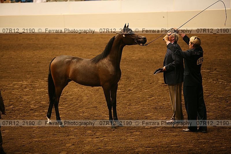 Proof 07r12_2190