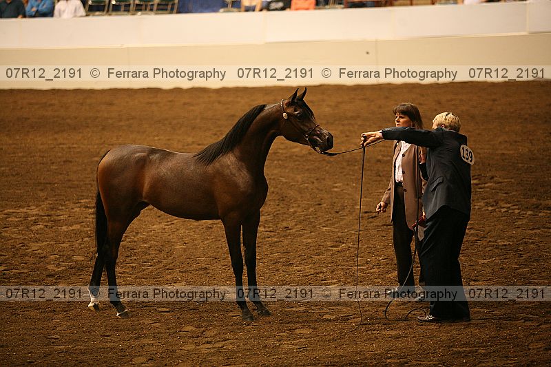 Proof 07r12_2191