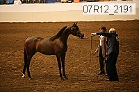 07r12_2191 proof