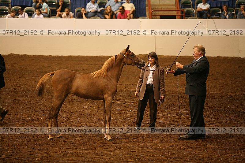 Proof 07r12_2192