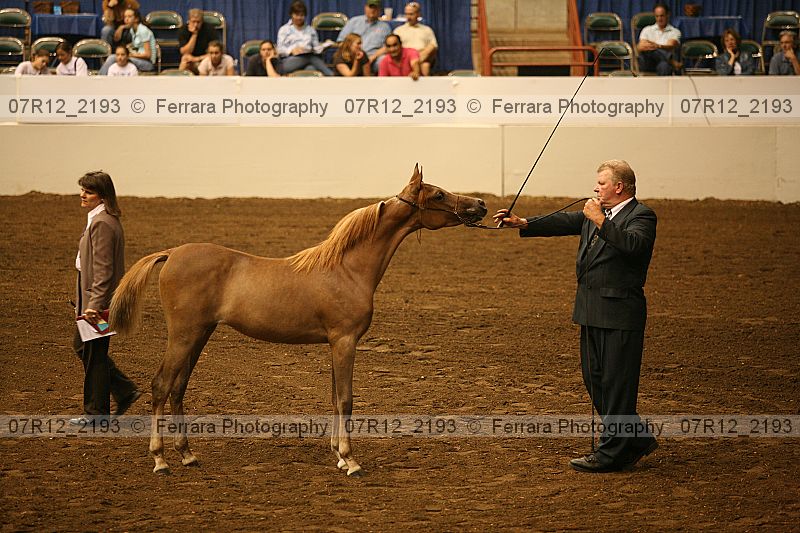 Proof 07r12_2193