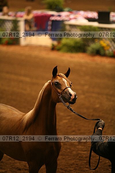 Proof 07r12_2194