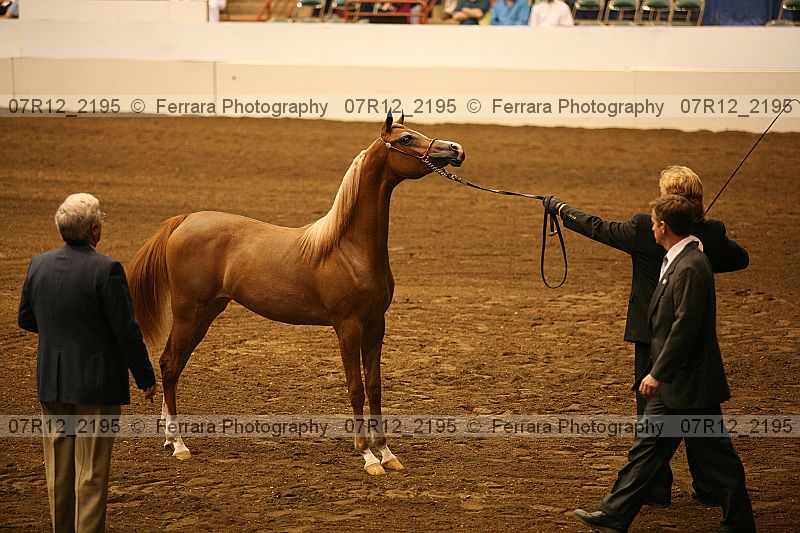 Proof 07r12_2195